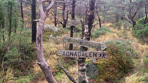 Signs indicating the two trails towards Ådnadalen