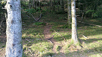 Trailhead Skogafjellet
