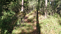 Trail towards Skogafjellet
