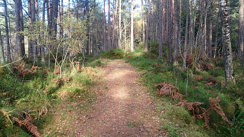 Trail towards Galtåsen