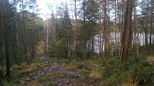 The trail alongside Gåsakilen