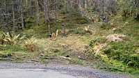 Trailhead Raunåsen