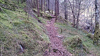 Trail towards Raunåsen
