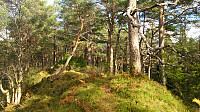 The summit of Raunåsen