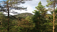 Lyshornet from Raunåsen