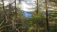 Lysefjorden from Raunåsen
