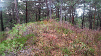 The highest point at Sjøbøhaugane