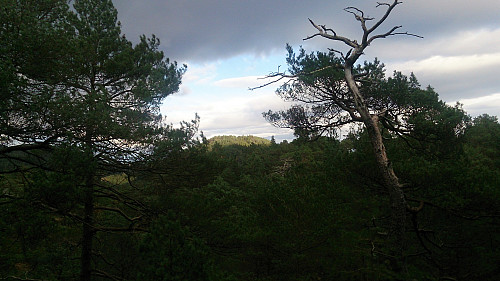 View towards Raunåsen from Sjøbøhaugane