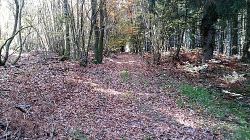 The trail across Dilsberg
