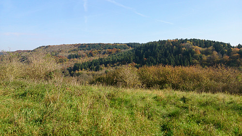 Dilsberg seen from the west