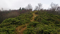 Trail northwest from Horsåsfjellet