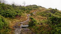 Trail down to Smålandsskaret