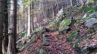 The trail towards Sandviksbatteriet