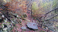 The trail towards Sandviksbatteriet