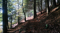 The trail towards Sandviksbatteriet