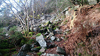 The nice trail ends