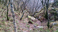 Looking back at the steep trail