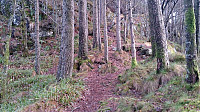 The trail towards Sandvikspilen