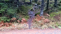 Trailhead Stordalsåsen
