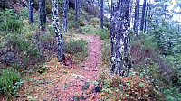 Trail to Stordalsåsen
