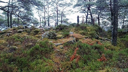 The summit of Stordalsåsen