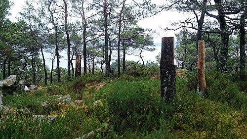The summit of Stordalsåsen