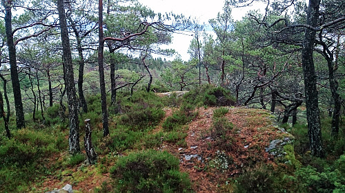 The summit of Stordalsåsen