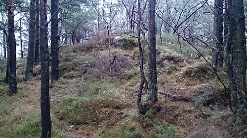 The highest point at Håmanen