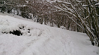Trail/footprints towards Borgafjellet