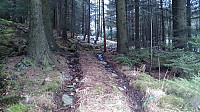 Tractor road towards Kolafjellet