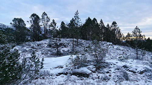 The summit area at Kolafjellet