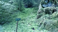 Trail towards Morkefjellet