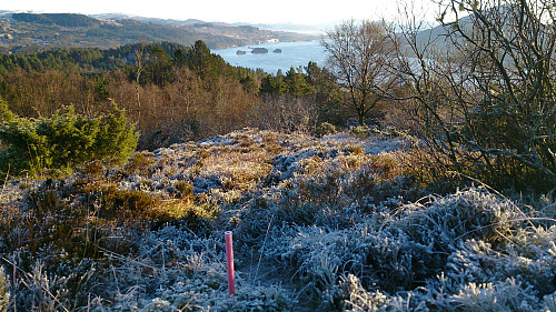Trail: Kvitsteinfjellet to Sæbøvågen