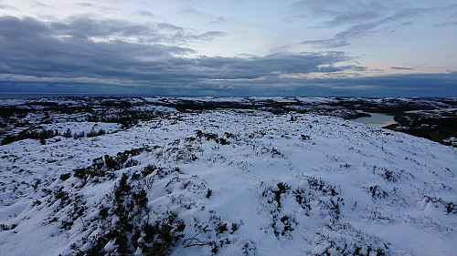 The unmarked highest point at Tveitafjellet