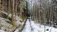 Tractor road towards Tverråsen