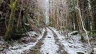 Tractor road toward Tverråsen