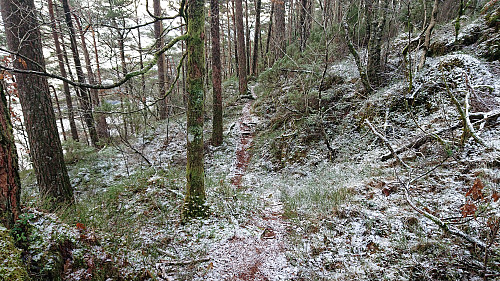 Trail around Skjenet