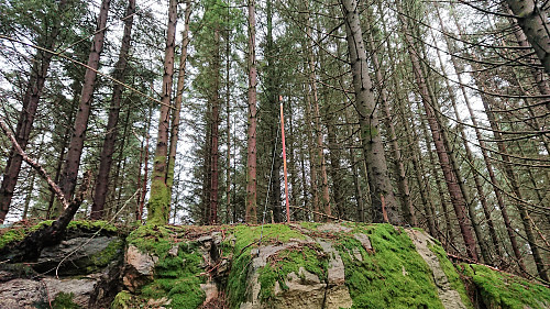 Trig marker Fjærhovda