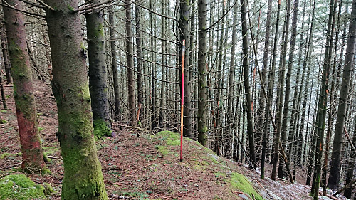 Trig marker Fjærhovda