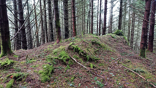 Highest point at Fjærhovda?