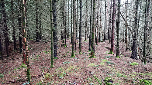 Summit area at Fjærhovda