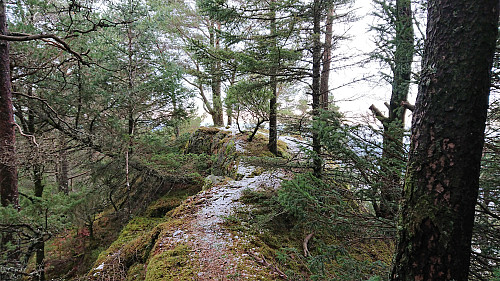 Towards the visitor register at Fjærhovda
