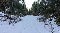 ... and snow-covered tractor road