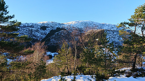 Rødsfjellet from Storåsen