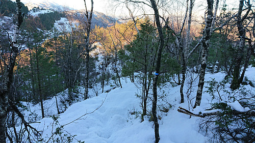 Blue markers, but trail hidden under the snow...