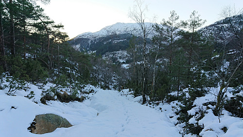 At the tractor road towards the main road. Møsnuken in the background.