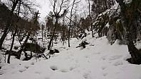 Trail towards Lyngbønipa