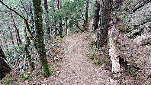 Trail down to Lauvåsen