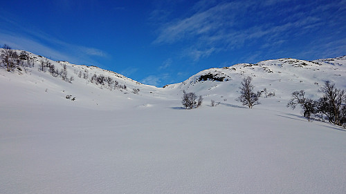 On the way to the top of Tjørndalen