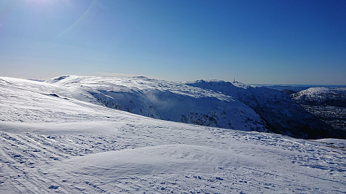 View towards Ulriken from below Vardegga